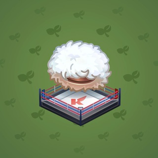 Khabib’s Papakha Fighting Ring model gift number 24812